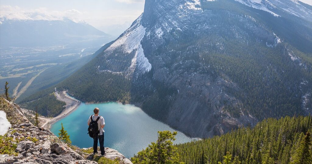 Nsnp Canada Requirements High Quality