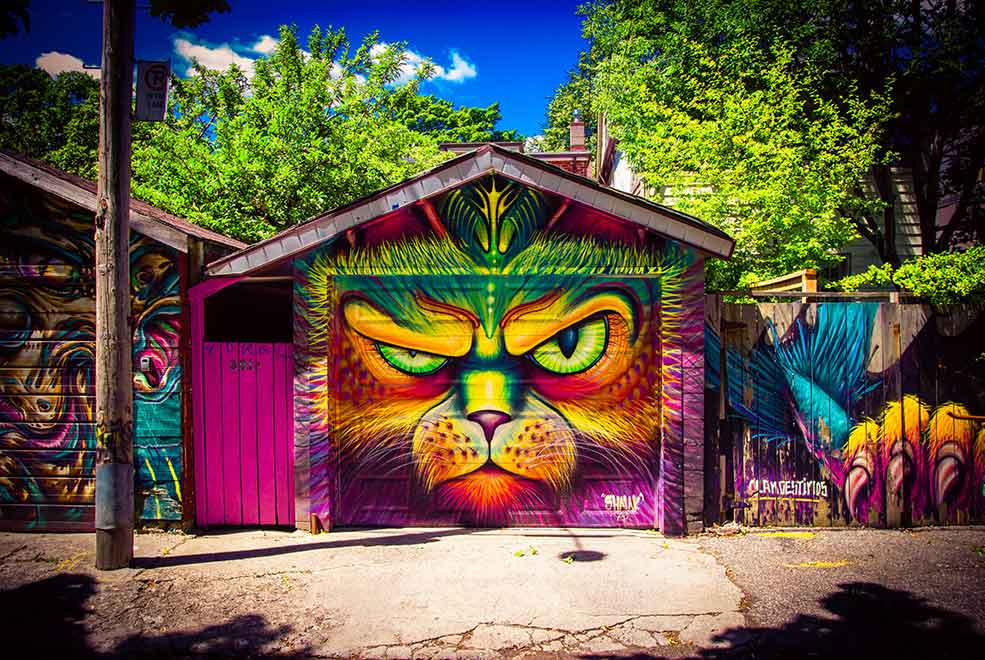 Toronto graffiti cat