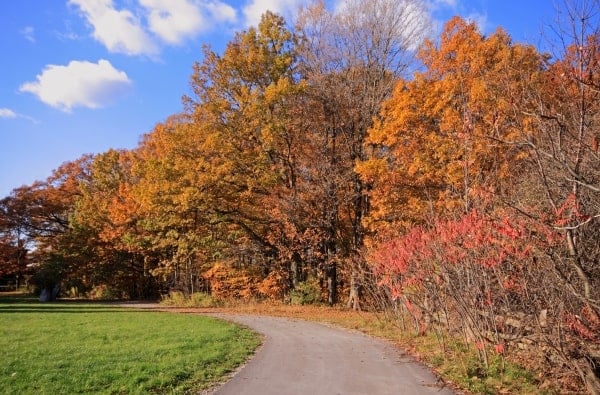 The Bruce Trail near Hamilton, Ontario.