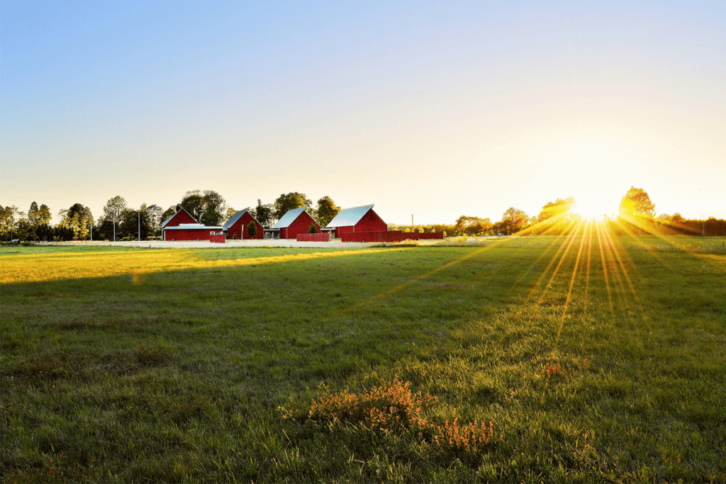 Saskatchewan’s Agriculture Talent Pathway