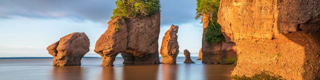 New Brunswick Invites 379 in First PNP Rounds of 2026