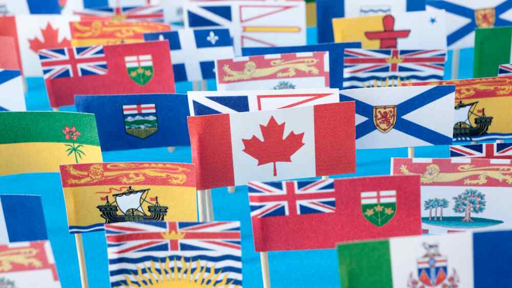 IEC: Participating Countries List in 2025