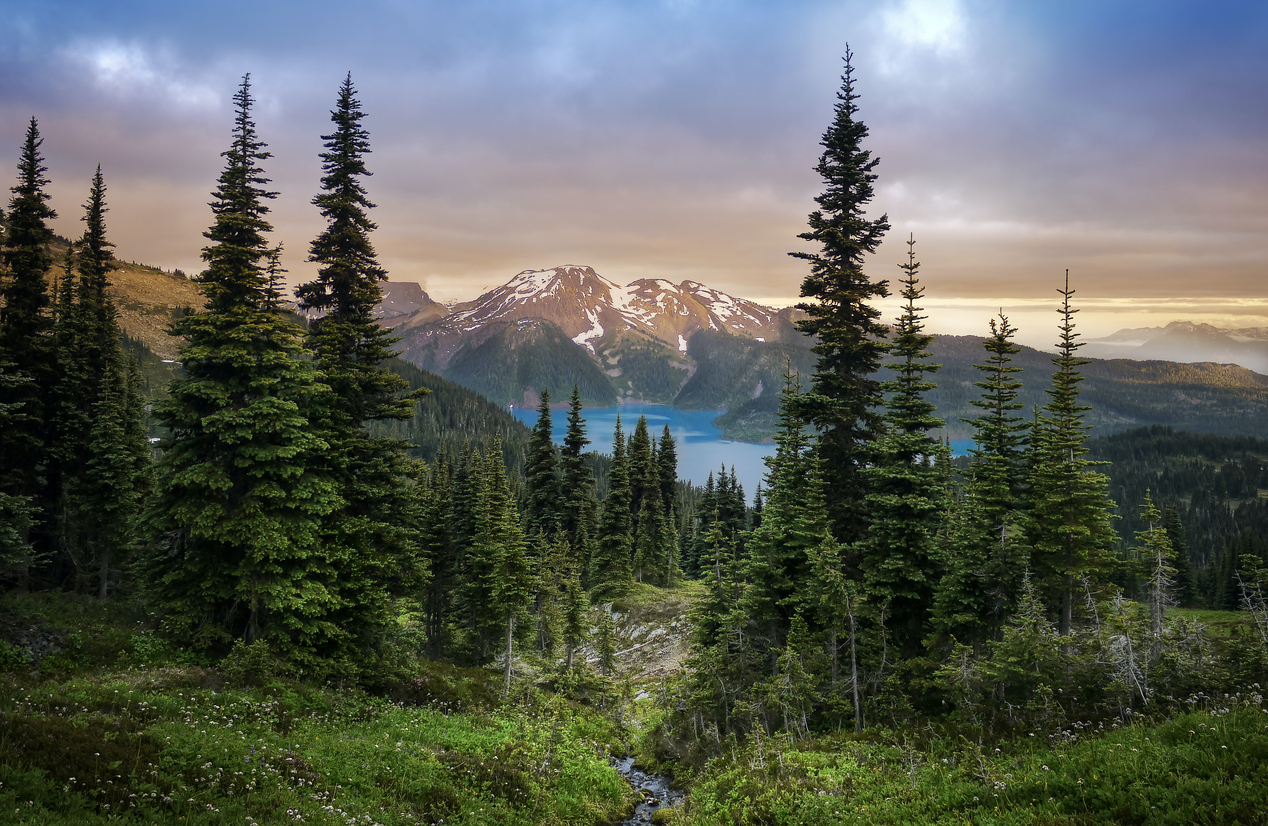 Image for Express Entry Draw 307: Another Massive Draw For Record-Breaking July 2024