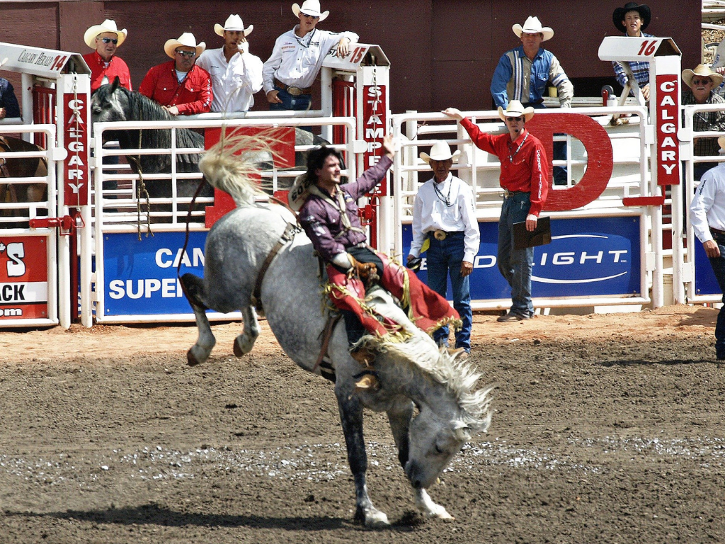 Rodeo riders in action at the Calgary Stampede in Alberta, galloping on horses in a large arena.