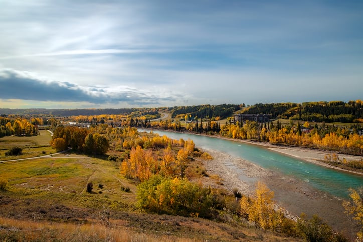 Popular Alberta Worker Streams to Become More Competitive As Quotas Fill Up