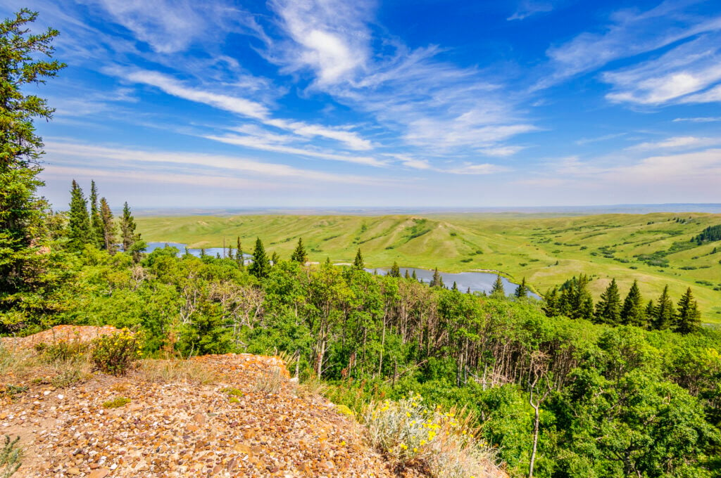 Saskatchewan Announces Two New Immigration Pathways Targeting Healthcare and Agriculture Workers