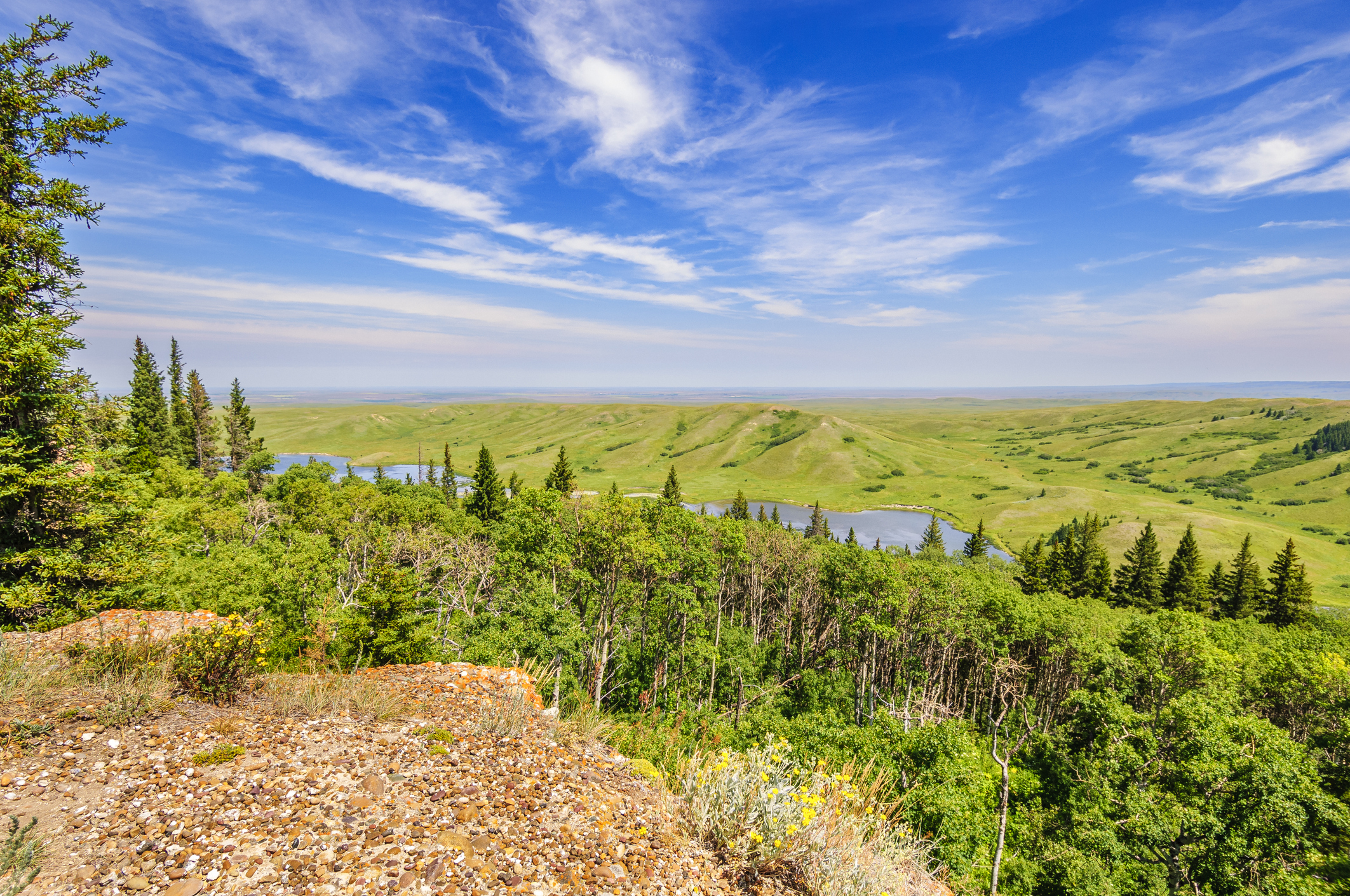Image for Saskatchewan Announces Two New Immigration Pathways Targeting Healthcare and Agriculture Workers
