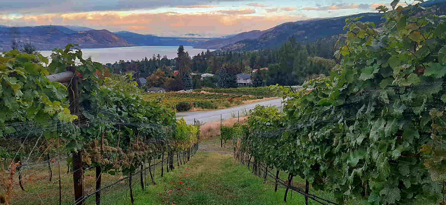 The view from Naramata Bench over Okanagan Lake, in Penticton