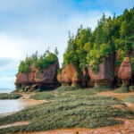 Flowerpots at low tide, Hopewell Rocks Provincial Park, Bay of Fundy, New Brunswick, Canada. Photo taken in September 2023.