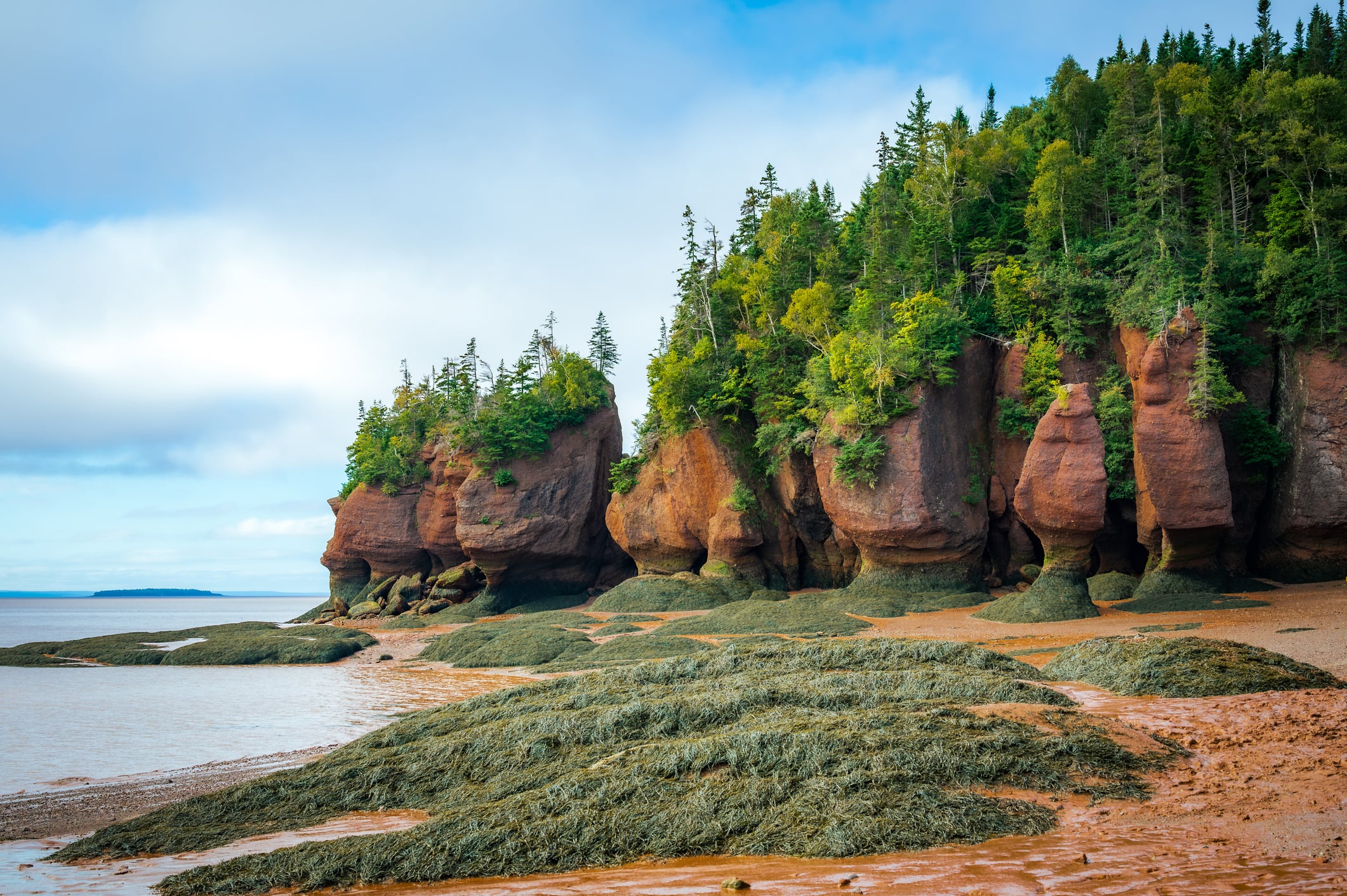 Image for Big Updates to New Brunswick Immigration Programs