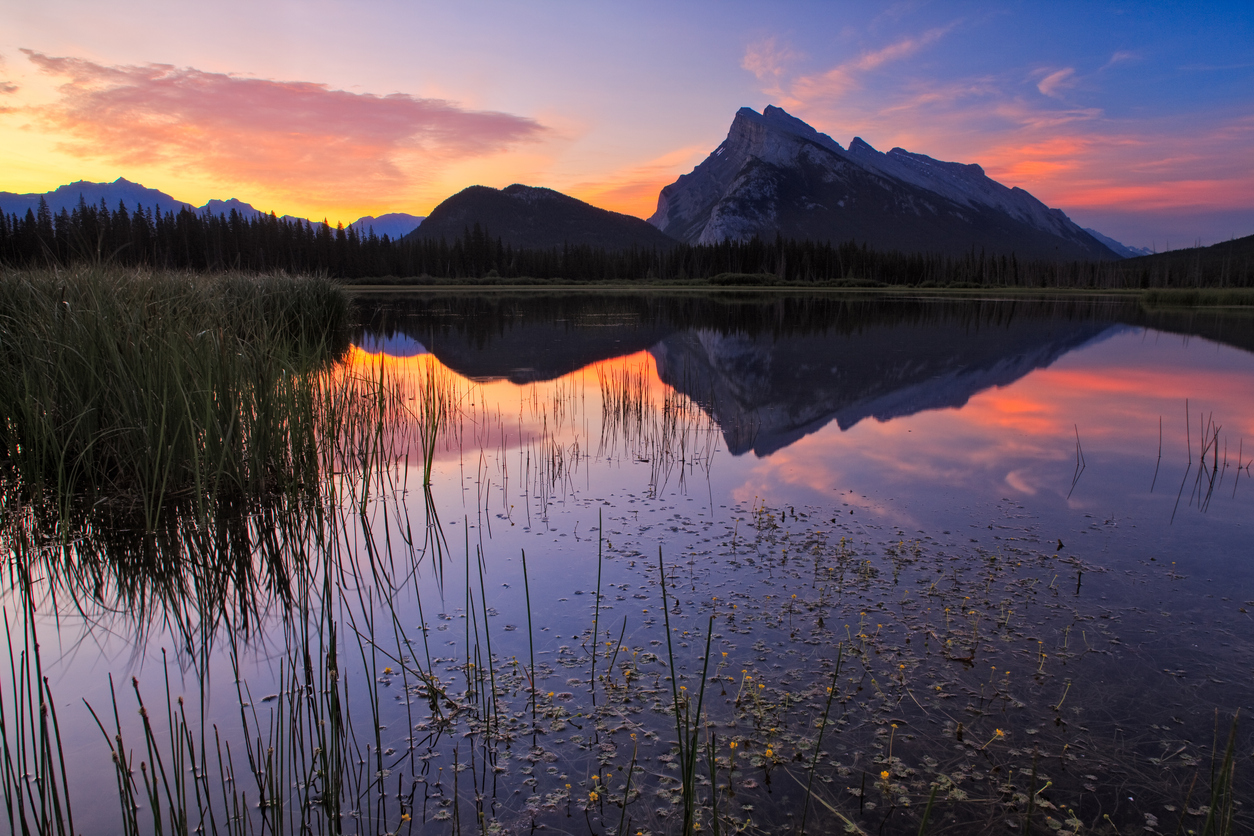 Image for Canada Confirms New Express Entry Categories in 2026