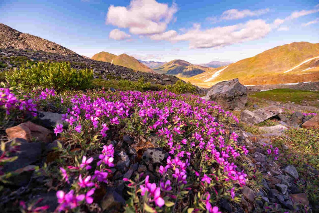 Yukon’s Nominee Program Receives a 67 Nomination Boost for 2025