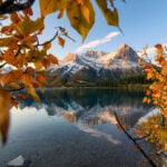 Sunrise on Mount Lawrence Grassi with golden leaves reflection on Rundle Forebay reservoir at Canmore, Canada