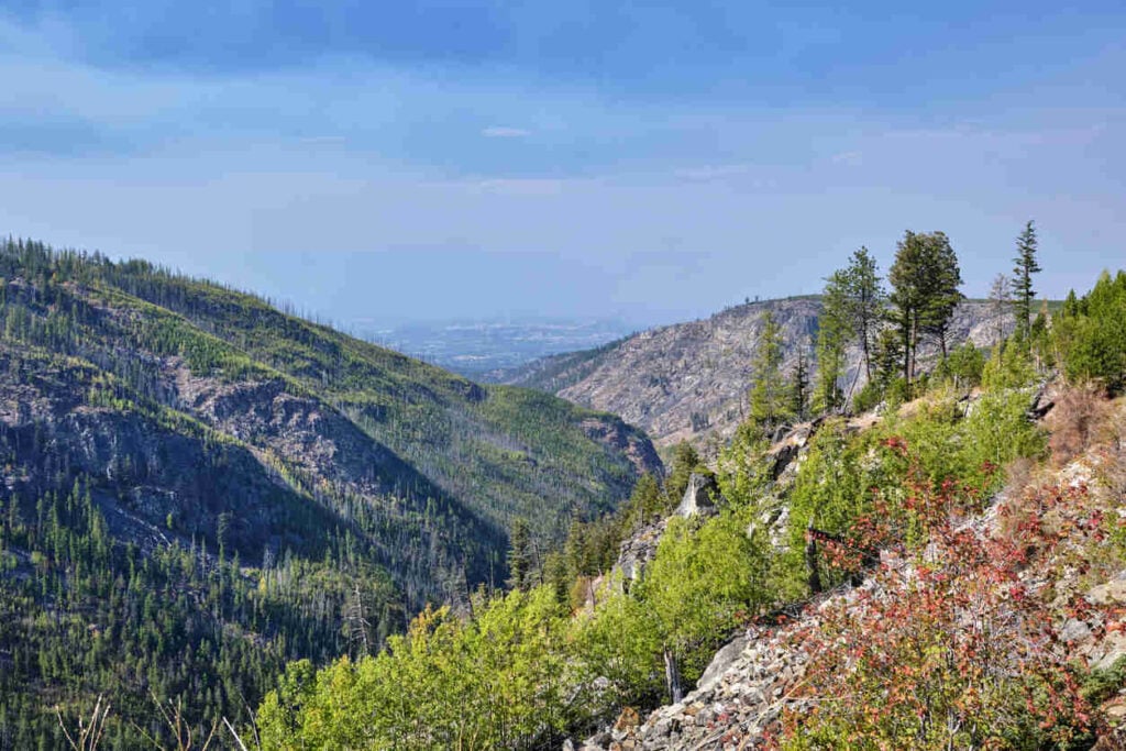 BREAKING: Inside IRCC’s Latest Express Entry Report for 2024