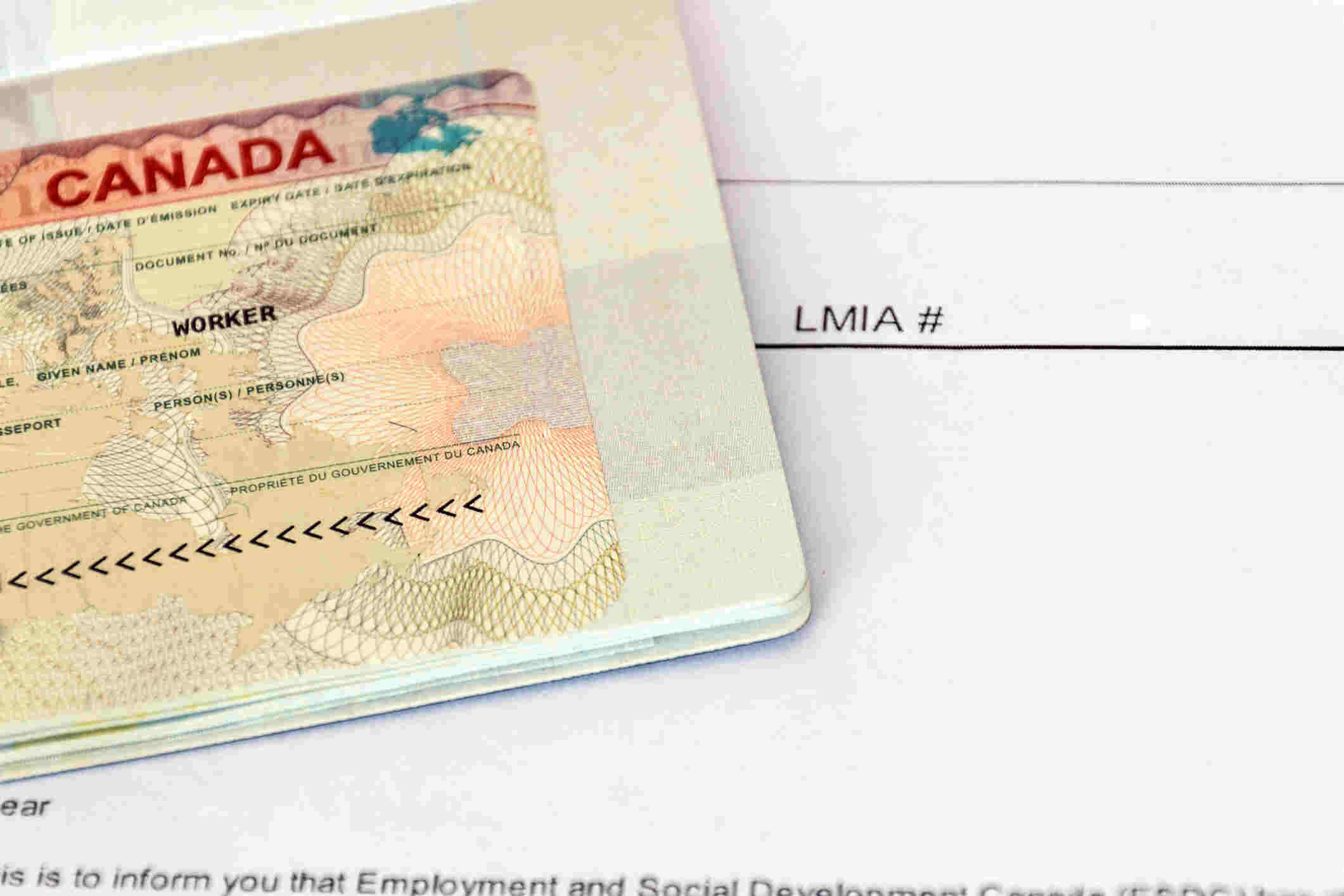 Image for Concurrent Processing for LMIA Work Permits: What You Need to Know