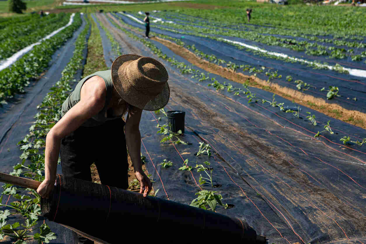 Image for Canada&rsquo;s Vulnerable Worker Open Work Permit: What&rsquo;s New and Why It Matters