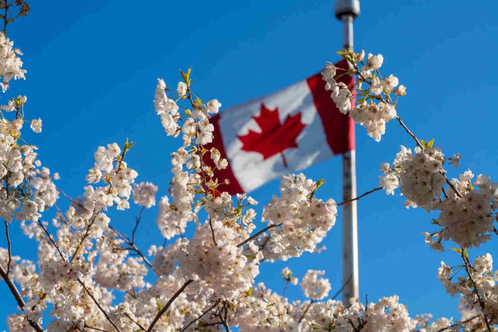 IRCC issues 264 ITAs in latest PNP draw