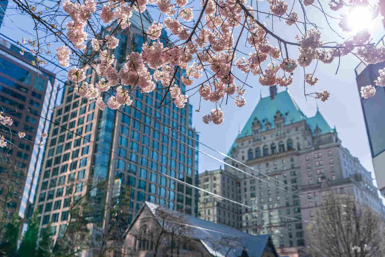 Image for Canada Invites 324 PNP Candidates in Latest Express Entry Draw