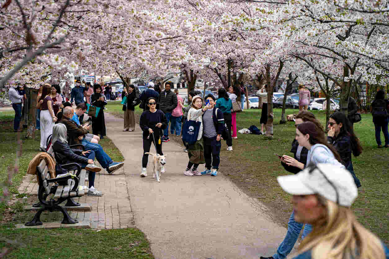 Image for Canada Saw Lowest-Ever Student Arrivals in February